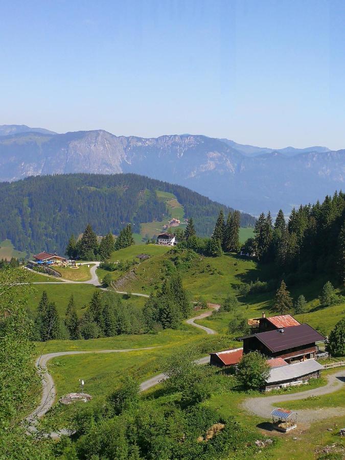 Almhuette Andrea Wildschoenau Exterior foto